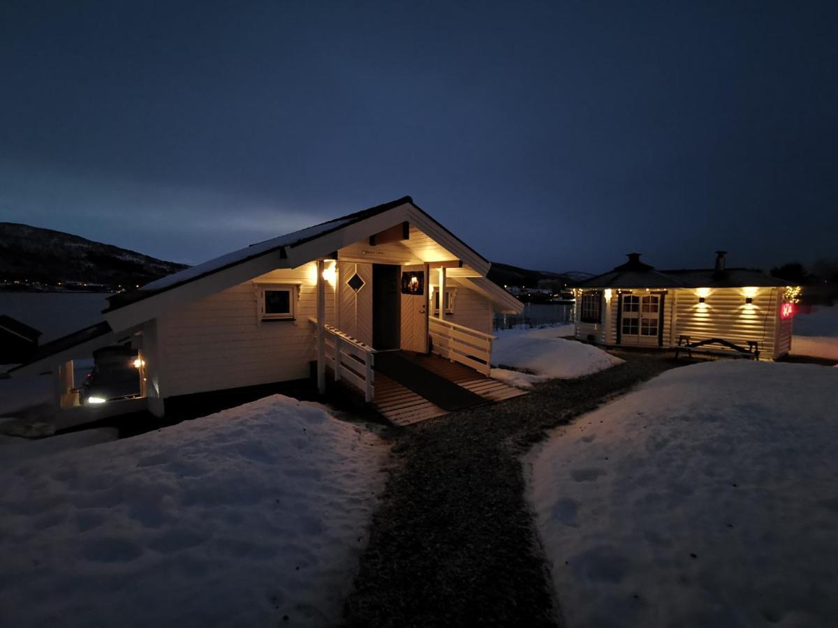 Visit Leif At Senja Apartamento Gibostad Exterior foto
